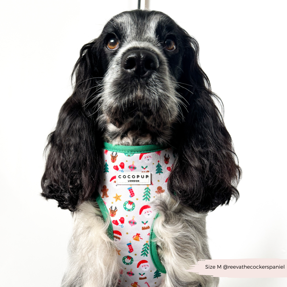 Christmas Pawty Adjustable Neck Harness, Lead & Collar Bundle