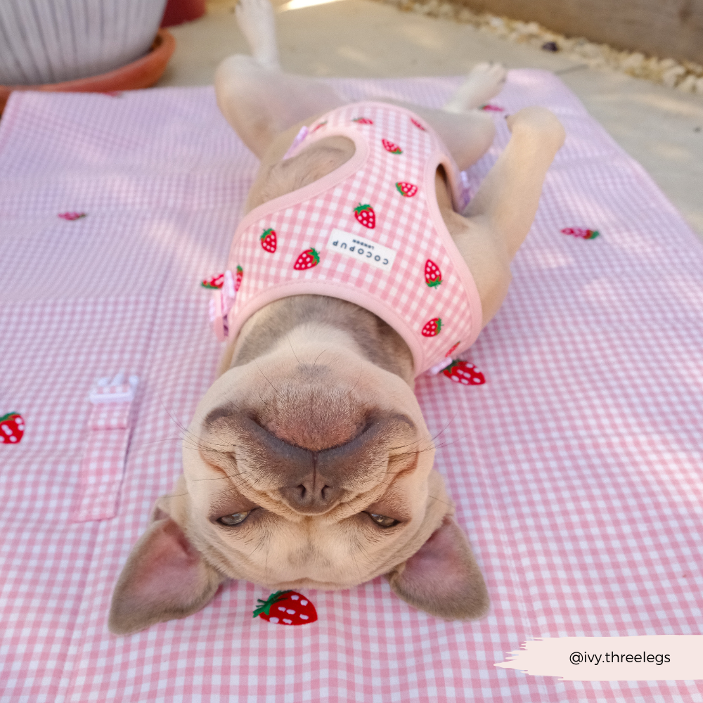 Travel Mat - Strawberry Picnic Pup