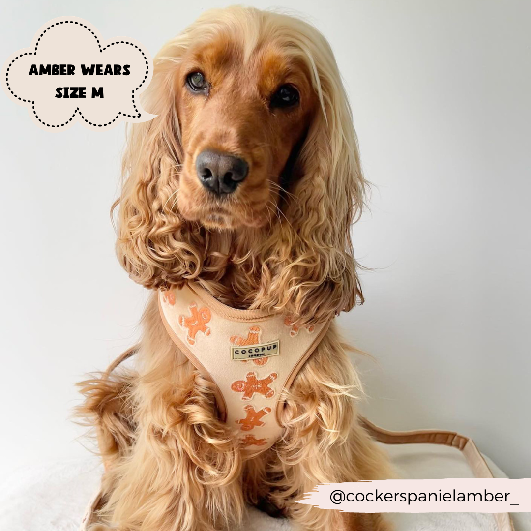 Luxe Velvet Adjustable Neck Harness - Gingerbread Treats