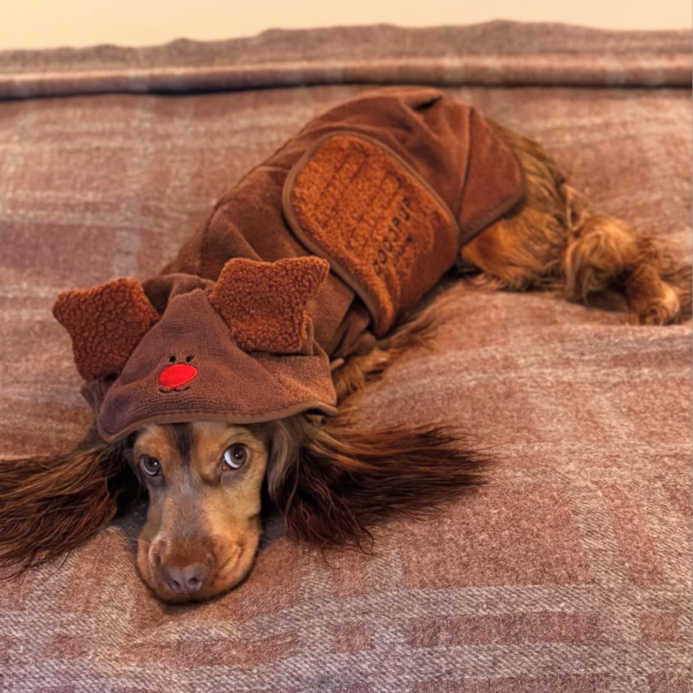 Reindeer Drying Robe