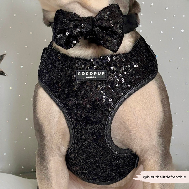 Limited Edition Sparkle Season Black Adjustable Neck HARNESS