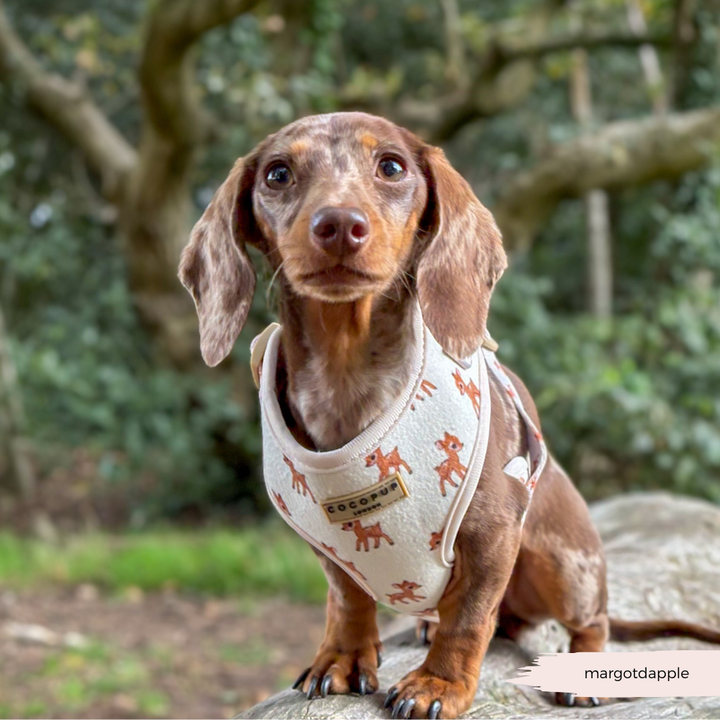 Fleecy Fawn Adjustable Neck Harness, Lead & Collar Bundle