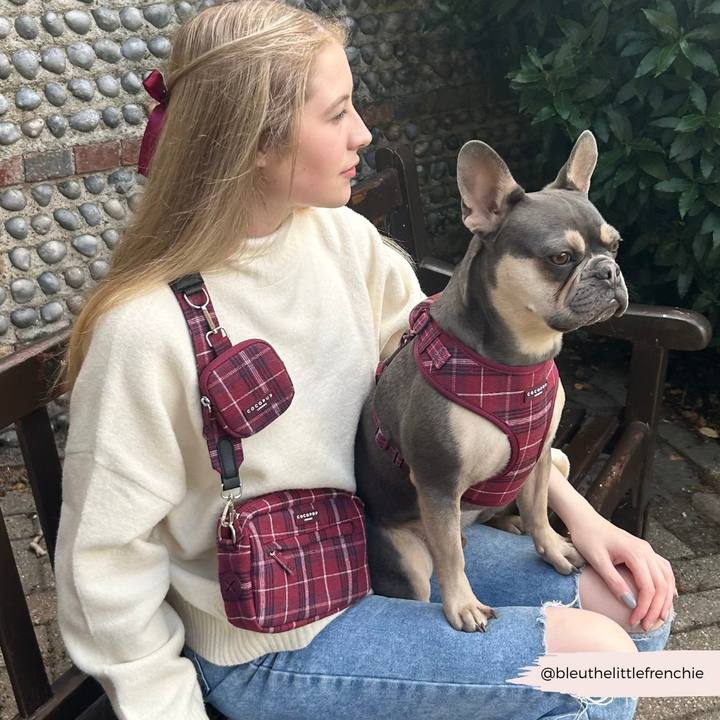 Dog Walking Bag - Mulberry Plaid