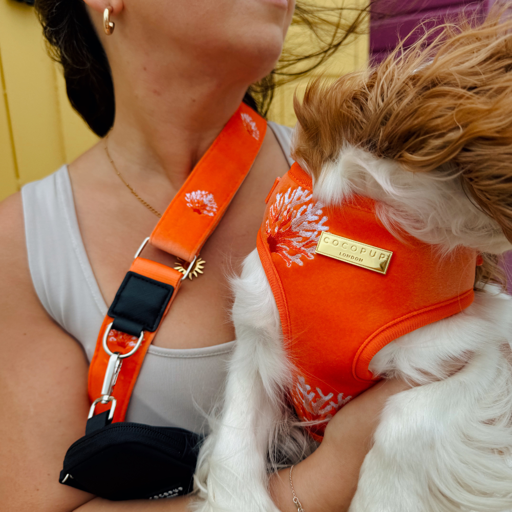 Luxe Velvet Bag Strap - Coral Core