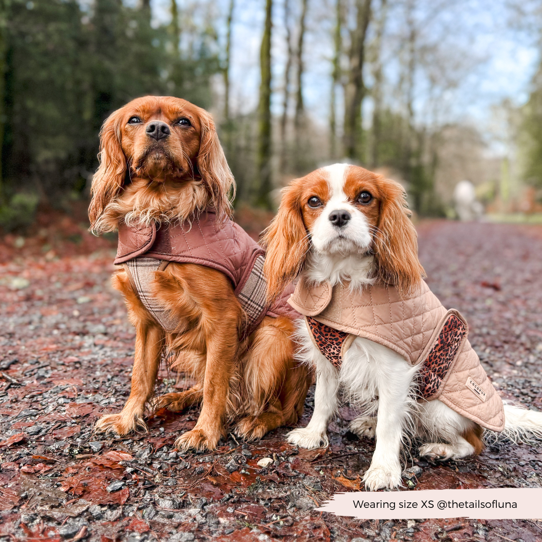 LUXE Quilted Dog Coat - Pup Plaid