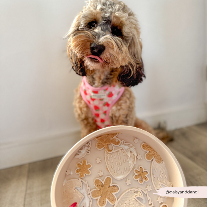 Silicone Slow Feed Dog Bowl - Pupberry Fields