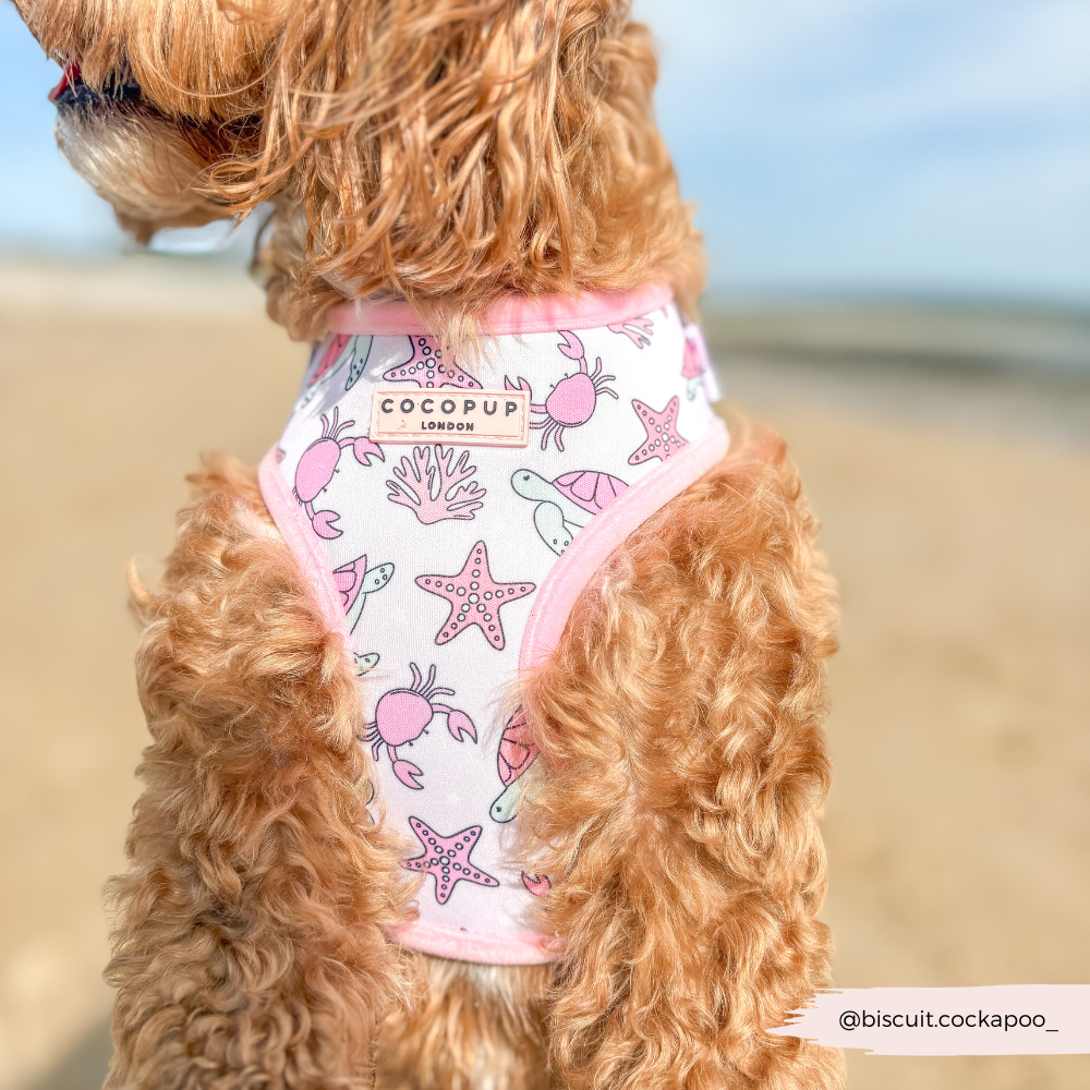 Pawcific Pink Reef Adjustable Neck HARNESS