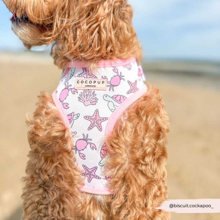 Pawcific Pink Reef Adjustable Neck HARNESS