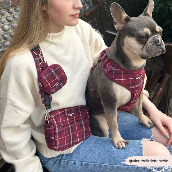 Dog Walking Bag - Mulberry Plaid