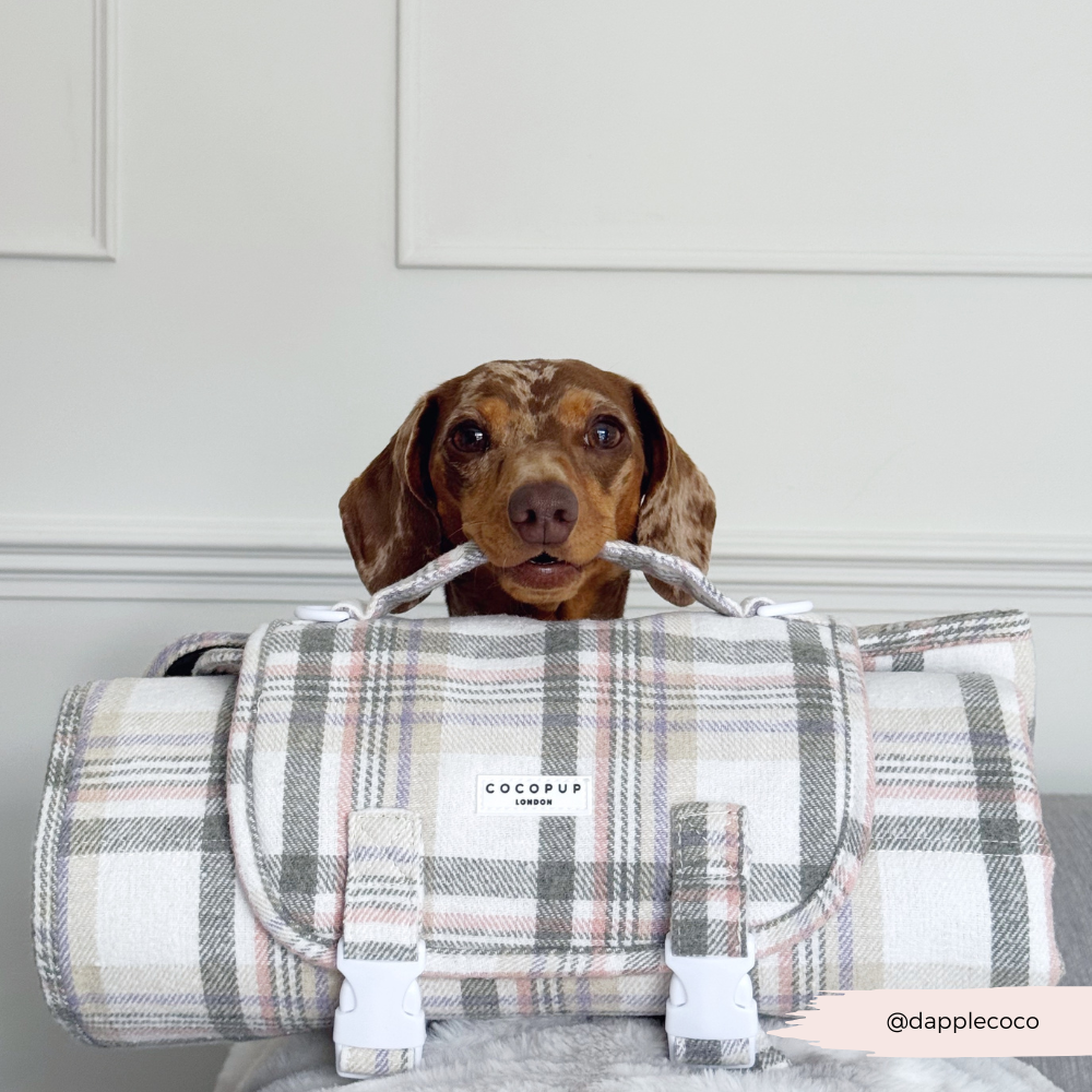 Travel Mat - Oxford Plaid