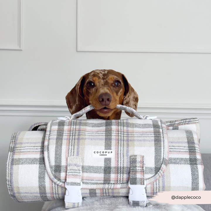 Travel Mat - Oxford Plaid