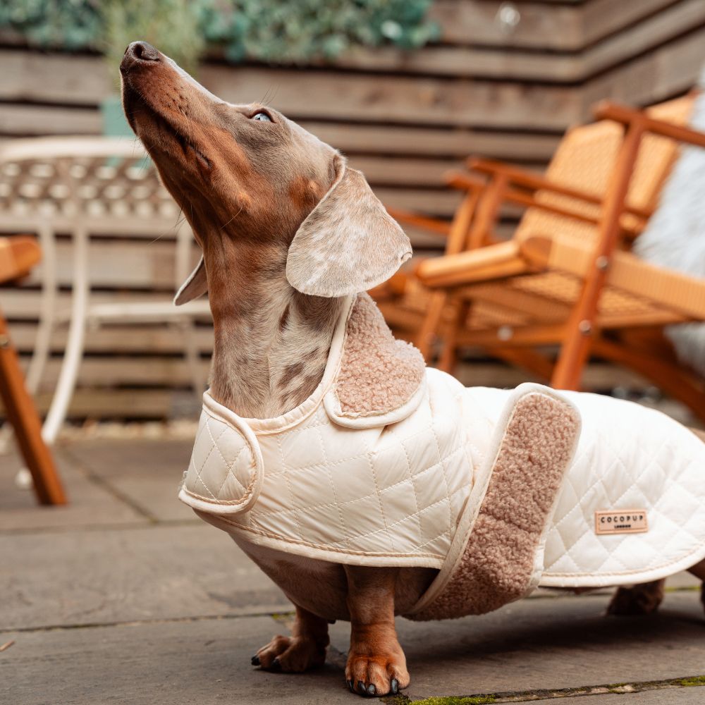 LUXE Quilted Dog Coat - Creamy Chai