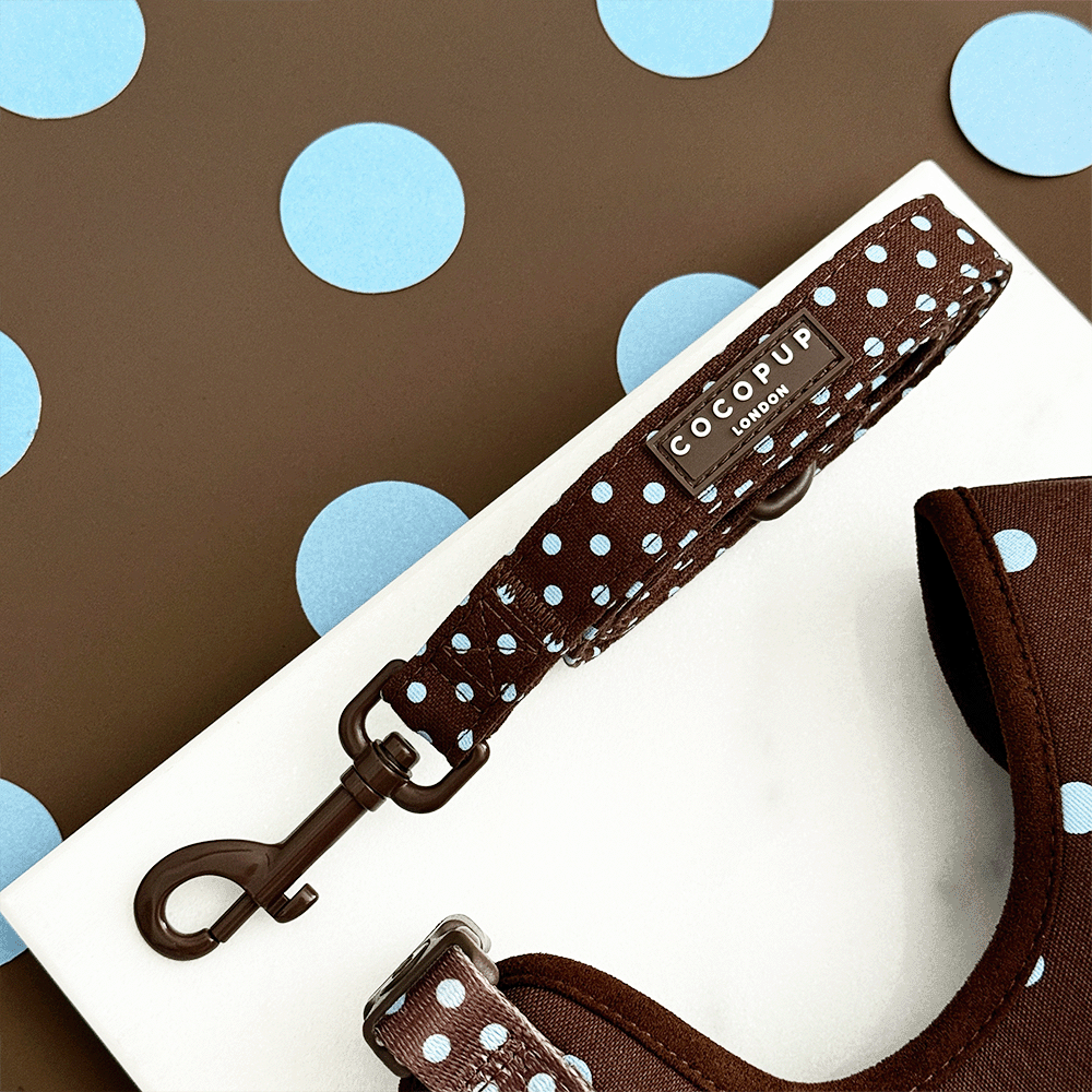 A brown dog lead with light blue polka dot design. Featuring brown hardware.