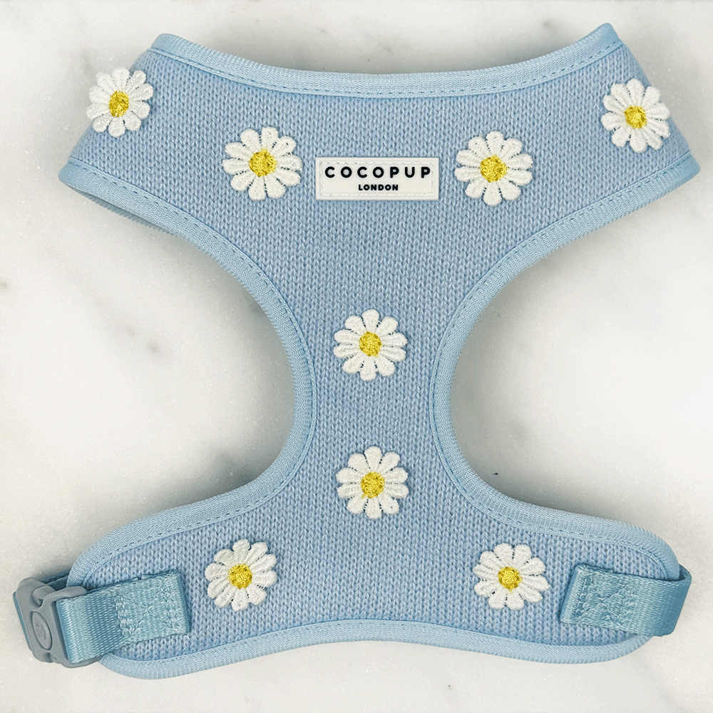 Blue dog Harness with white flower decals.