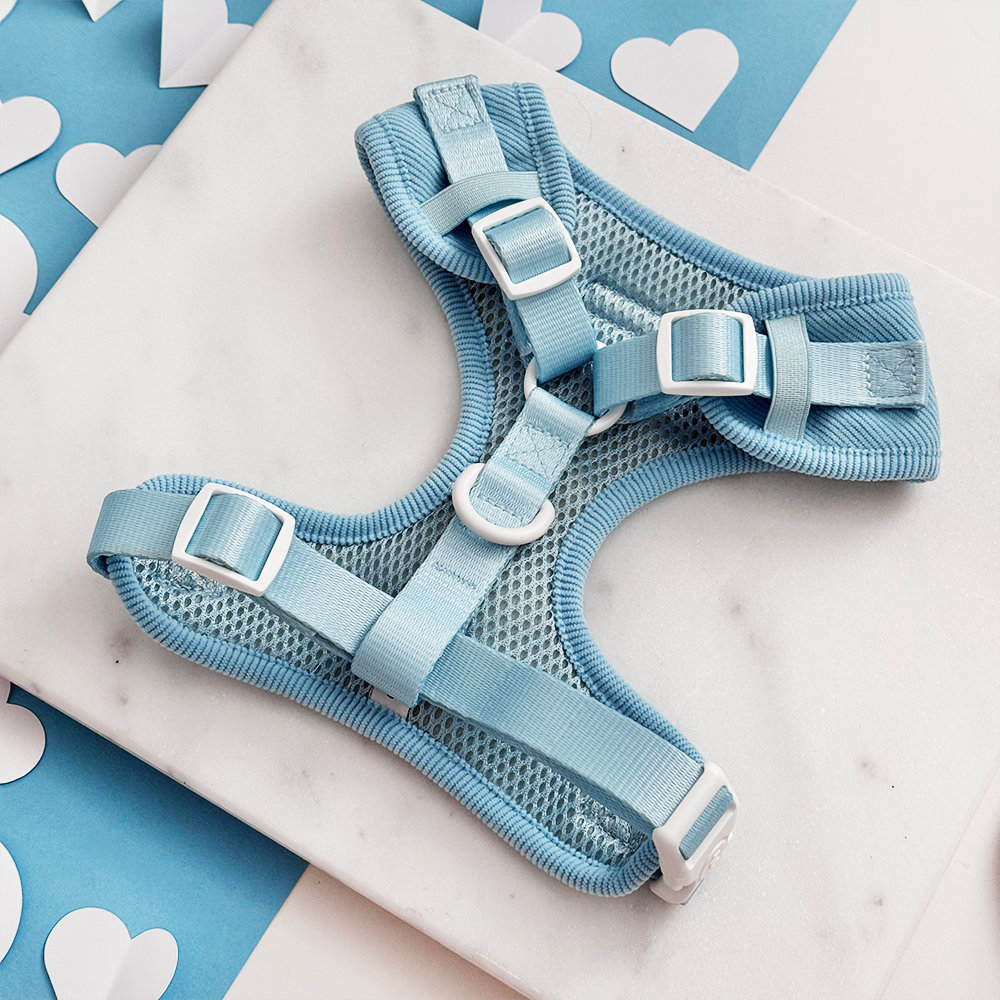 Blue Heartstrings Cord Adjustable Neck HARNESS