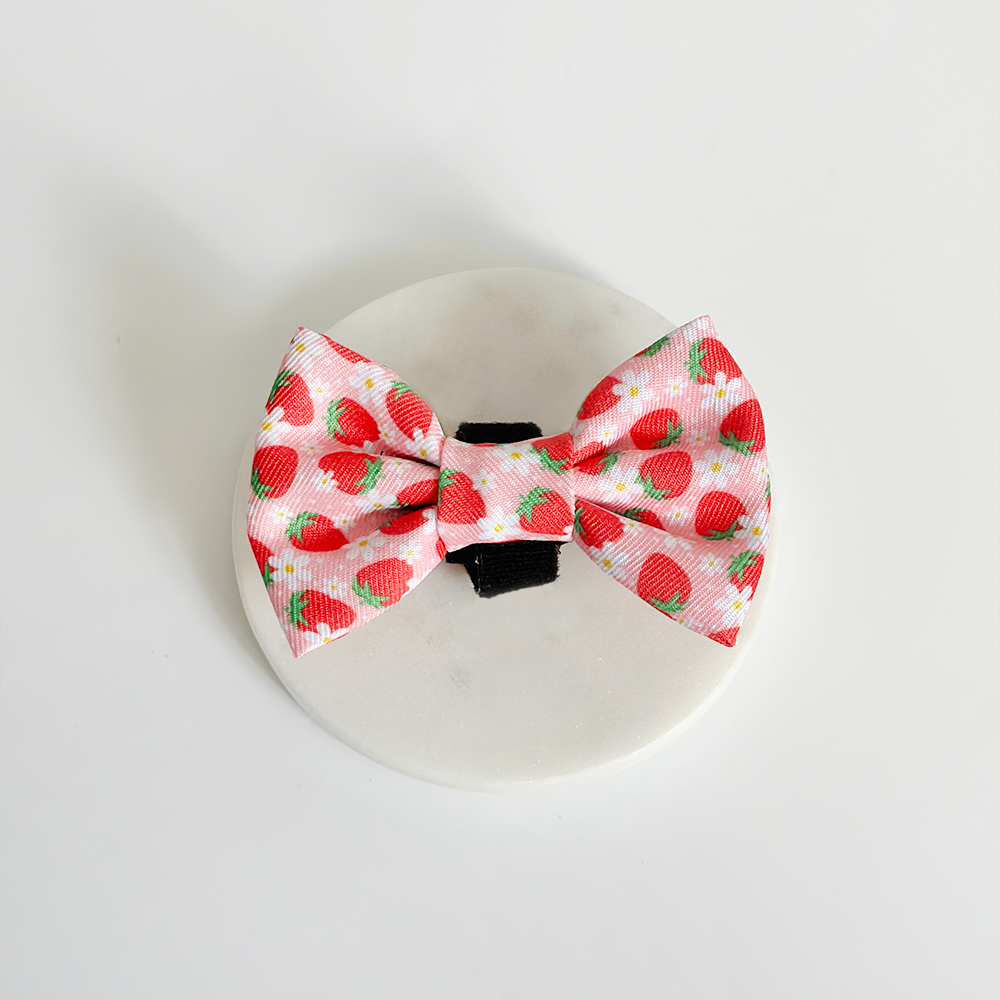 Pupberry Fields Bow Tie