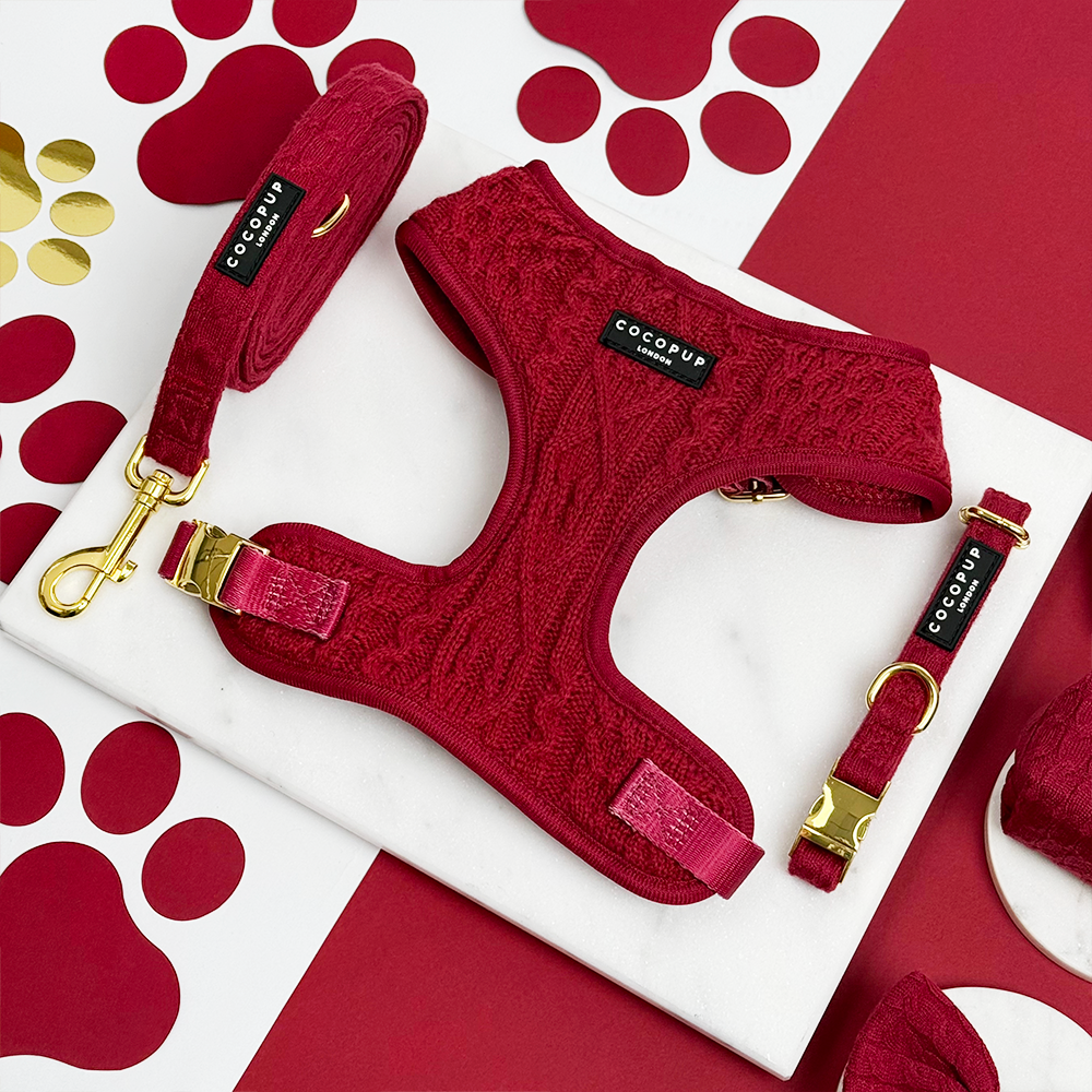 Mulled Wine Cable Knit Adjustable Neck Harness, Lead & Collar Bundle