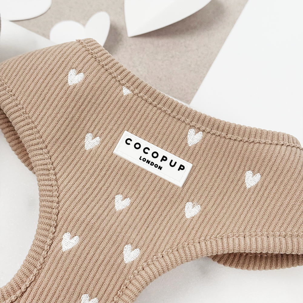 Chai Hearts Adjustable Neck Harness, Lead & Collar Bundle