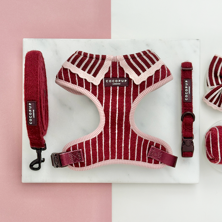 Knitted dog harness, collar and lead with burgundy and baby pink vertical stripes and a light pink scalloped edge.