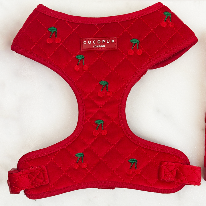 Cherry Velvet Crush Adjustable Neck HARNESS
