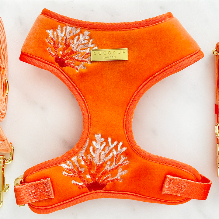 Luxe Velvet Adjustable Neck HARNESS- Coral Core