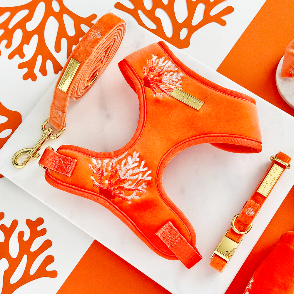 Luxe Velvet Adjustable Neck HARNESS- Coral Core