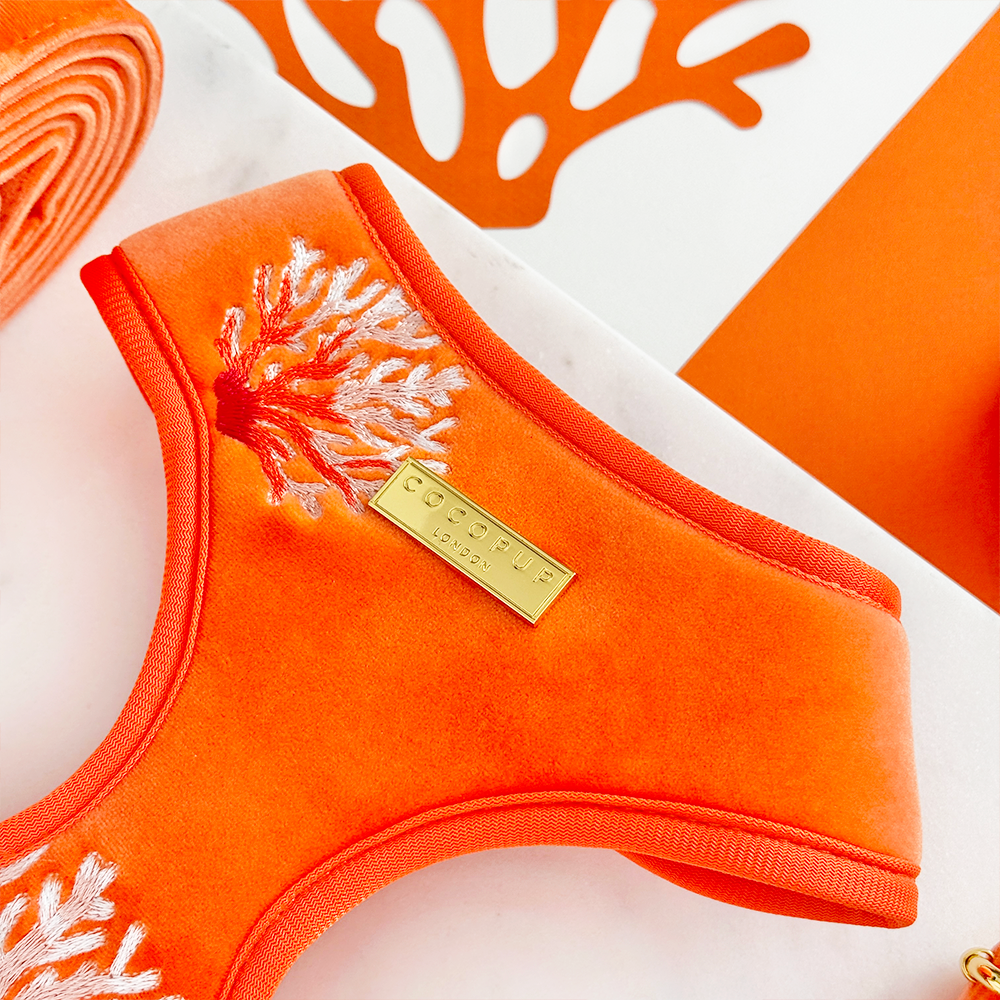 Luxe Velvet Adjustable Neck HARNESS- Coral Core