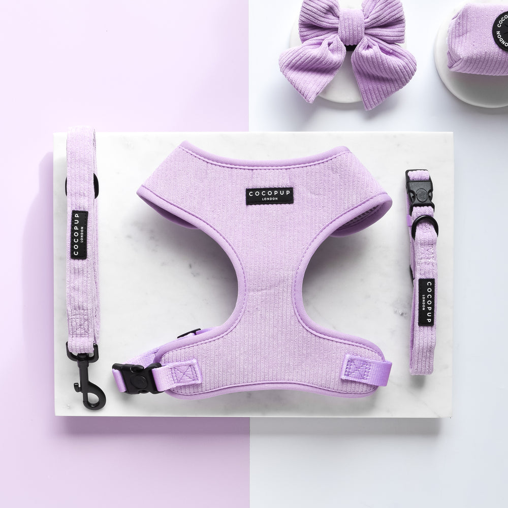 The Lilac Cord Adjustable Neck Harness, Lead & Collar Bundle from Cocopup London is elegantly displayed on a white surface. This lavender-colored dog harness set includes an adjustable neck harness, leash, collar, and bow tie. Made of soft fabric, each item features black labels that read "Cocopup." The background showcases white and light blue segments.