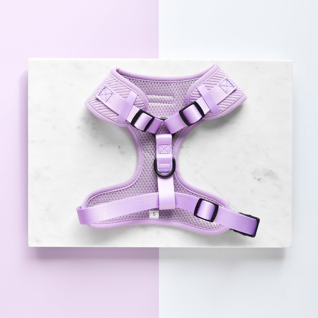 A stylish Lilac Cord Adjustable Neck Harness with sleek black buckles and a breathable mesh design lies flat against a marble surface. This harness, part of the Cocopup London collection, features a sturdy ring for lead attachment and has padded shoulder straps for added comfort. The background showcases a chic split design in white and light purple.