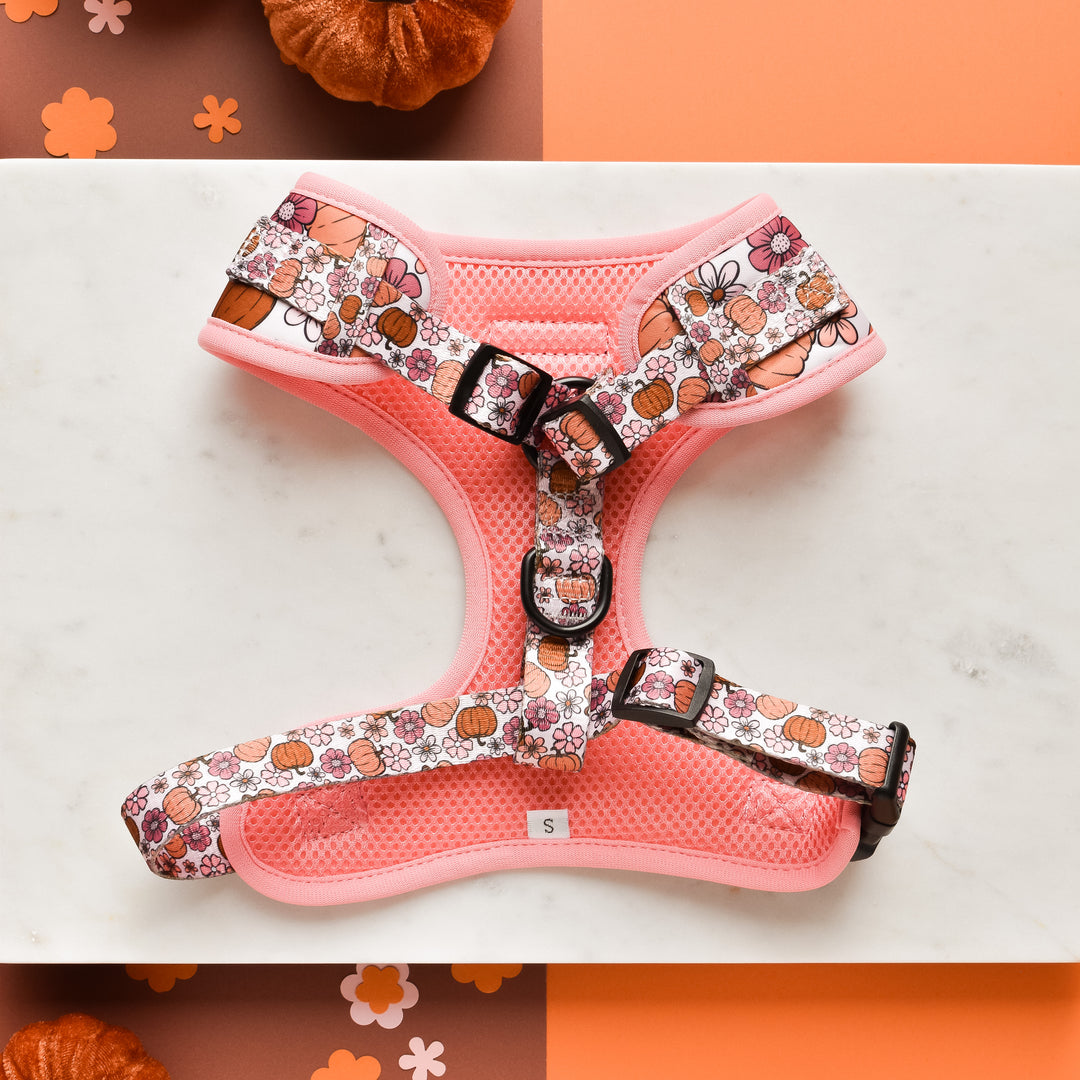 Pup-kin Meadow Adjustable Neck Harness