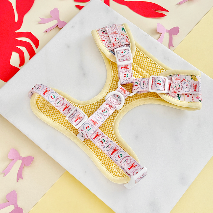 Dolce Vita Adjustable Neck HARNESS