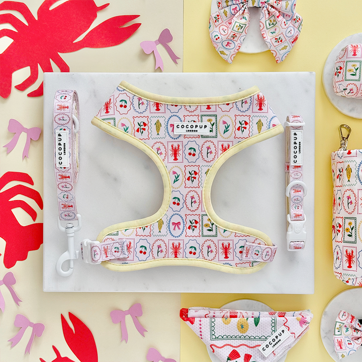 Dolce Vita Adjustable Neck Harness, Lead & Collar Bundle