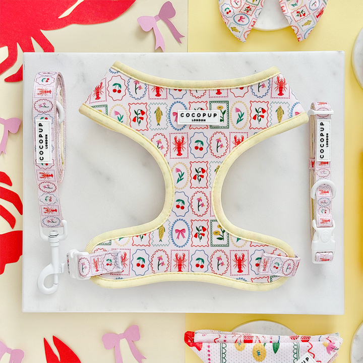 Dolce Vita Adjustable Neck Harness, Lead & Collar Bundle