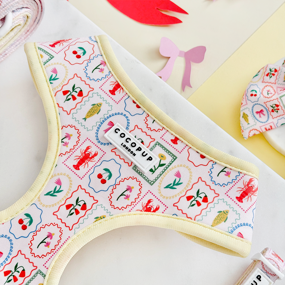 Dolce Vita Adjustable Neck Harness, Lead & Collar Bundle