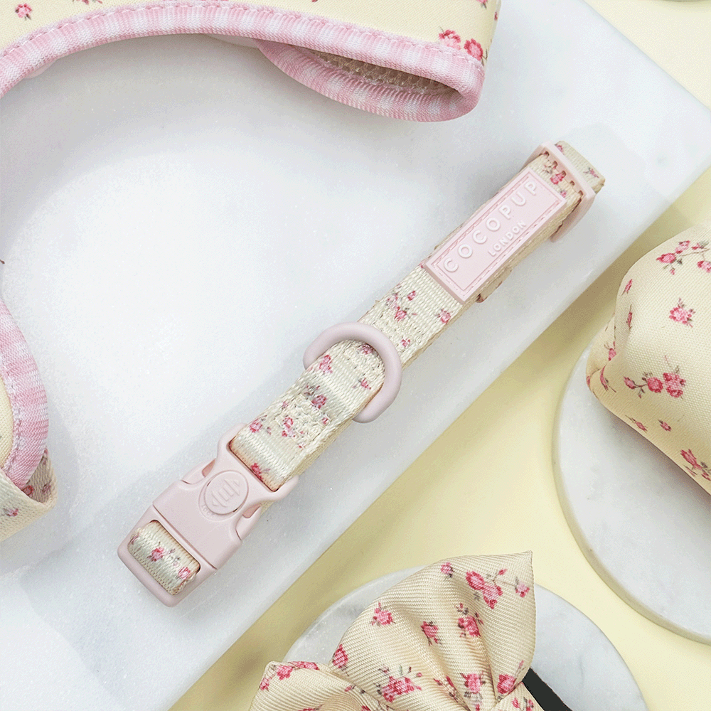 Floral Dog Collar with yellow background and pink flowers.