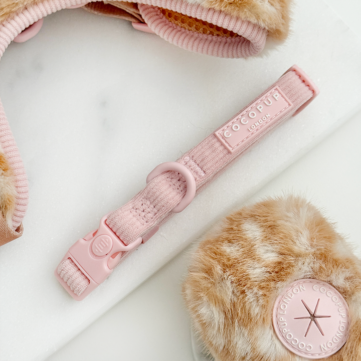 Pink ribbed dog collar.