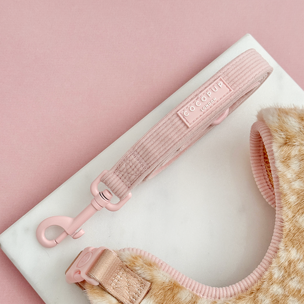 Pink ribbed dog lead.