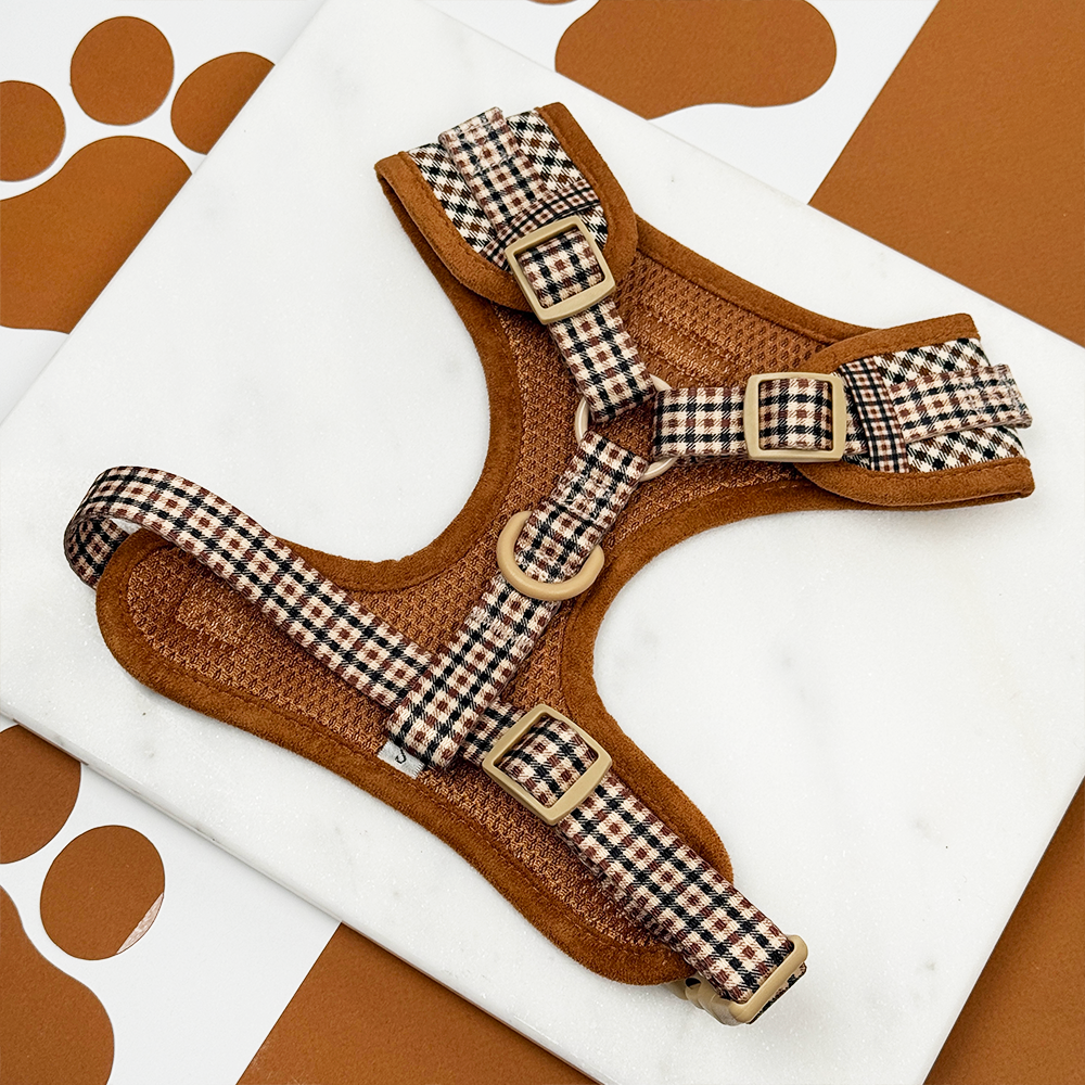 Heritage Check Adjustable Neck Harness, Lead & Collar Bundle