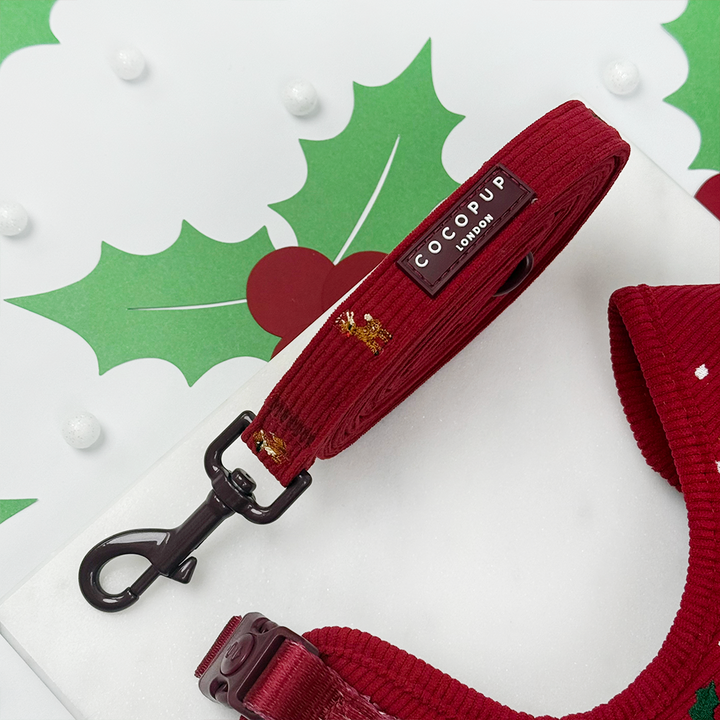 Holly Jolly Trails Lead