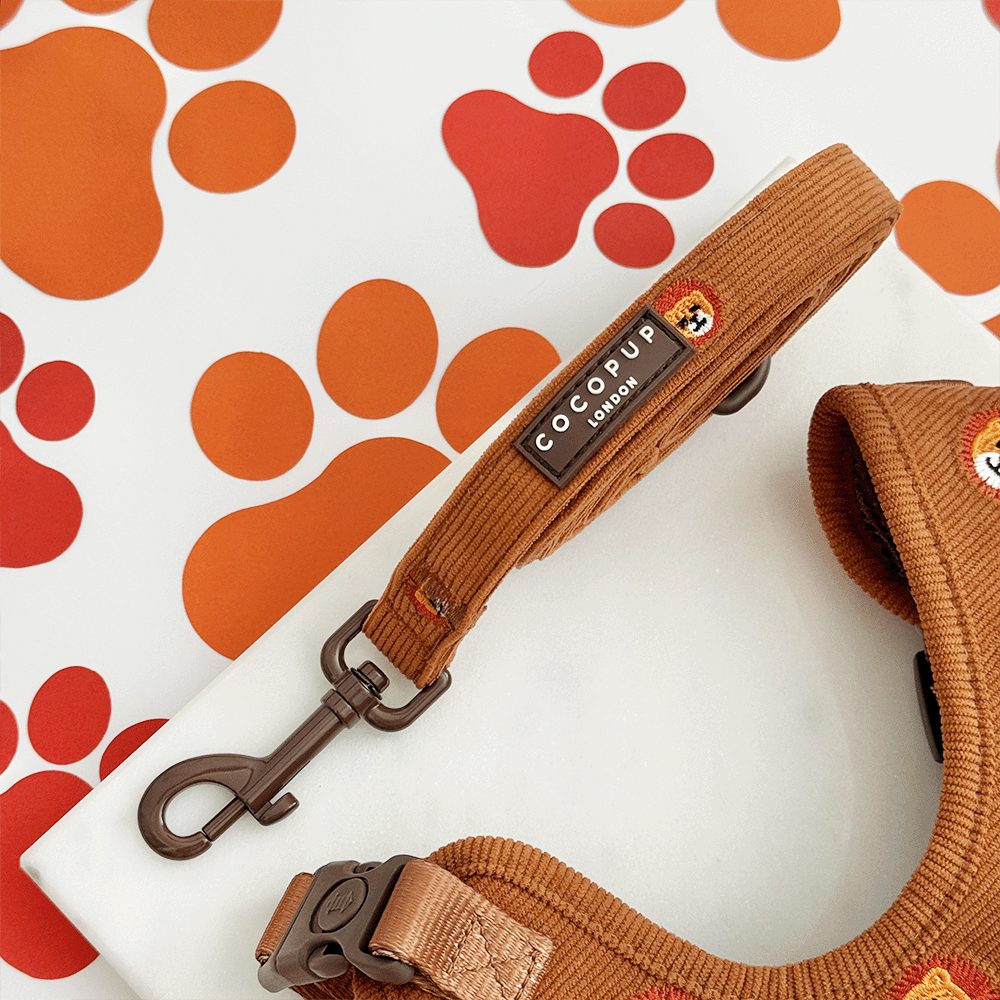 Leo the Lion Adjustable Neck Harness, Lead & Collar Bundle