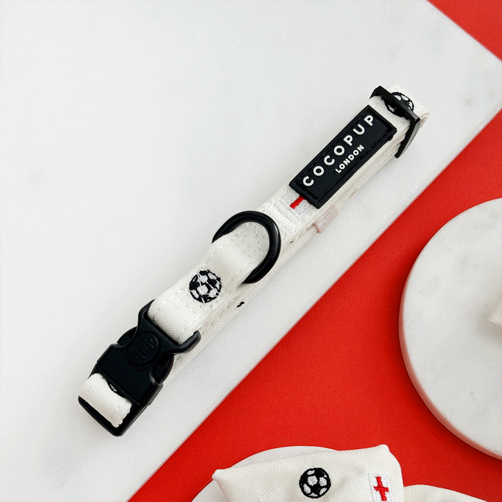 White Dog Collar with embroidered footballs and England flags.