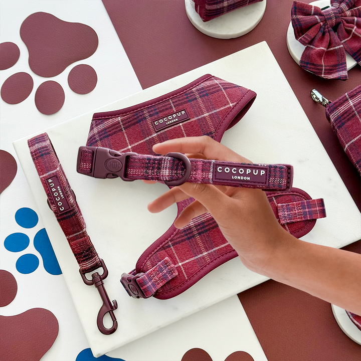 Mulberry Plaid Adjustable Neck Harness, Lead & Collar Bundle