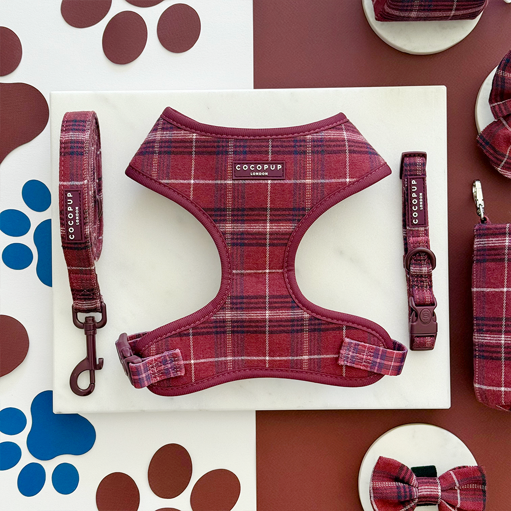 Mulberry Plaid Adjustable Neck Harness, Lead & Collar Bundle