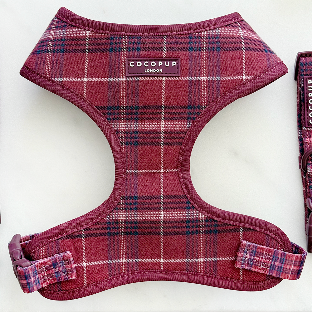 Mulberry Plaid Adjustable Neck Harness, Lead & Collar Bundle