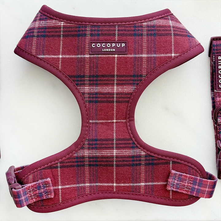 Mulberry Plaid Adjustable Neck Harness, Lead & Collar Bundle