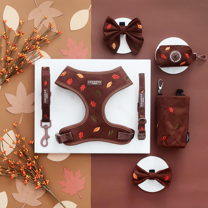 Pawtumn Leaves Adjustable Neck HARNESS