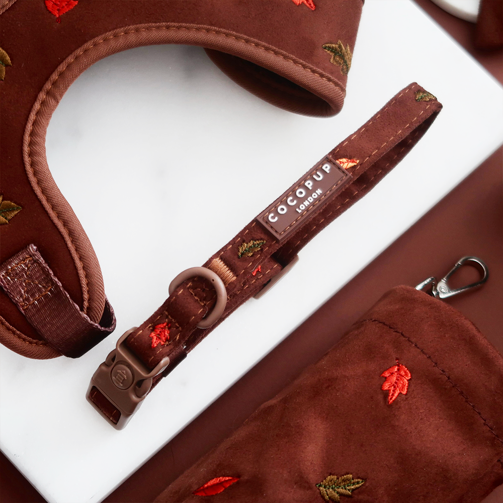 Pawtumn Leaves COLLAR