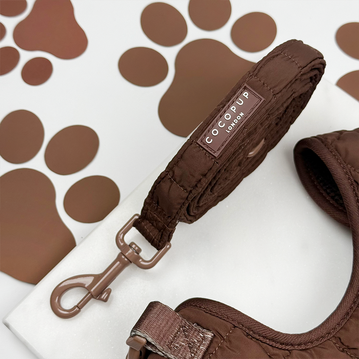 Espresso Quilted Adjustable Neck Harness, Lead & Collar Bundle