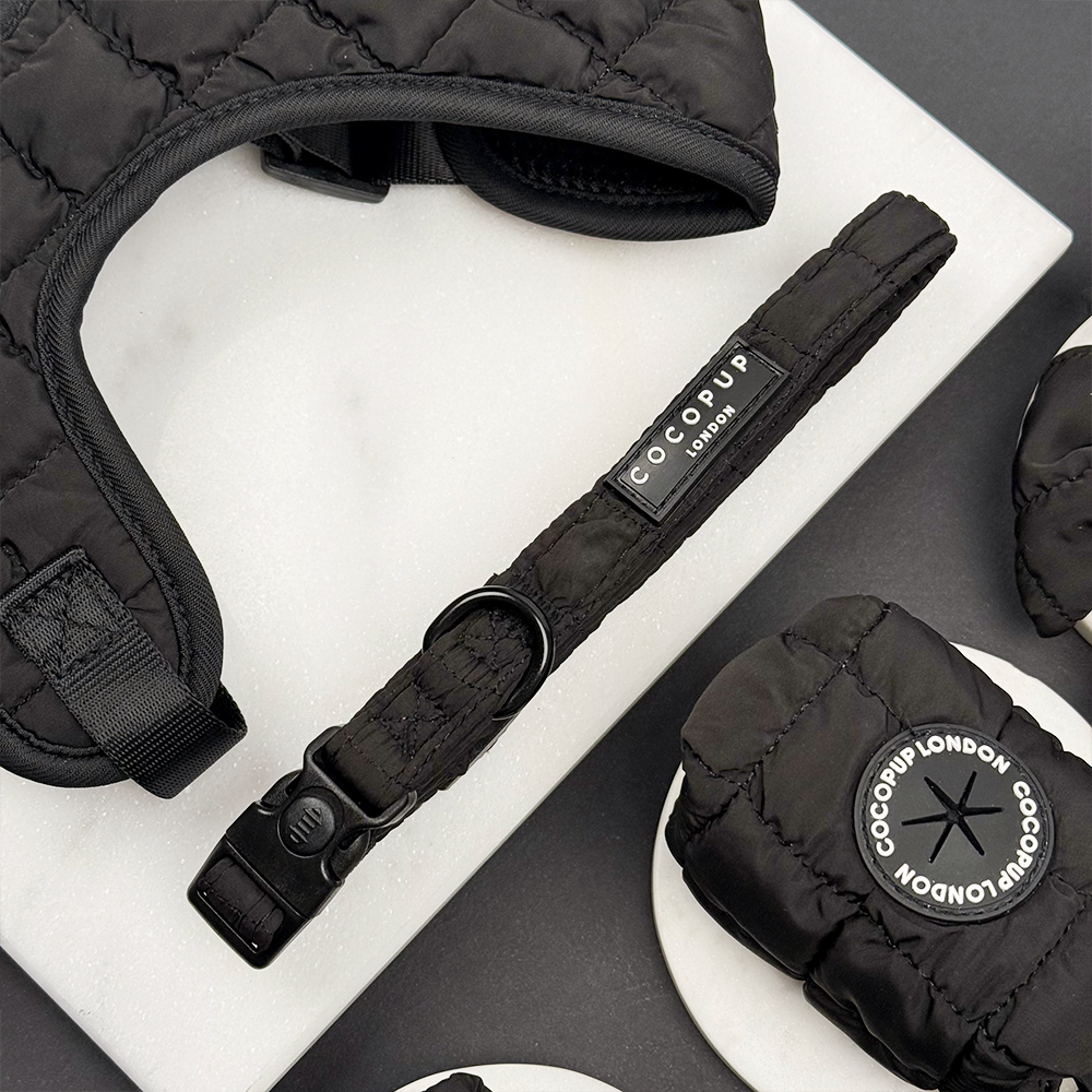 Onyx Quilted Adjustable Neck Harness, Lead & Collar Bundle