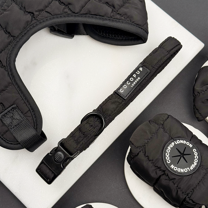 Onyx Quilted Adjustable Neck Harness, Lead & Collar Bundle